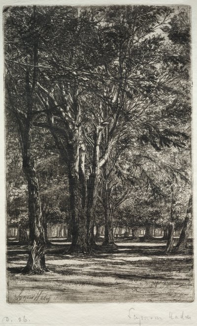 Giardini di Kensington (La tavola più grande) da Francis Seymour Haden