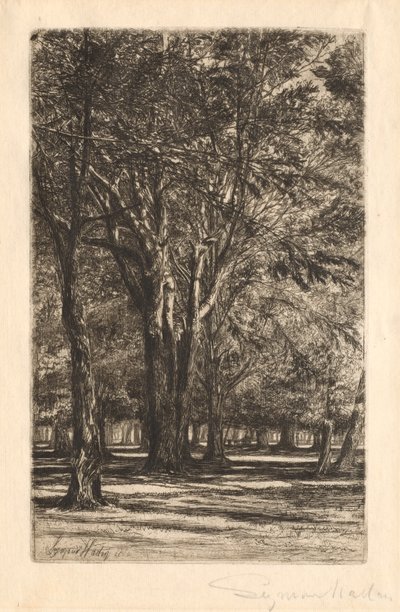 Giardini di Kensington, n. 2 Grande Piastra, 1860 da Francis Seymour Haden