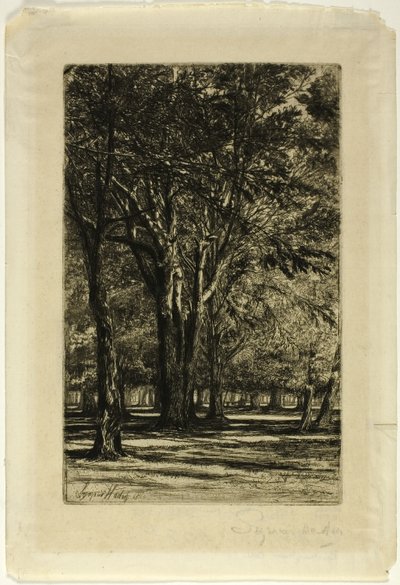 Kensington Gardens, No. II da Francis Seymour Haden