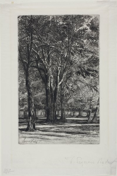 Giardini di Kensington, No. II (grande tavola) da Francis Seymour Haden