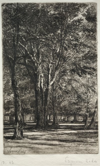 Kensington Gardens La Piastra Maggiore da Francis Seymour Haden