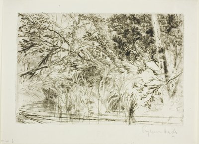 Foce di un ruscello, n. II da Francis Seymour Haden