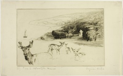 Newton Manor da Francis Seymour Haden
