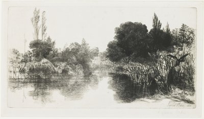 Shere Mill Pond (La lastra più grande), 1860 da Francis Seymour Haden