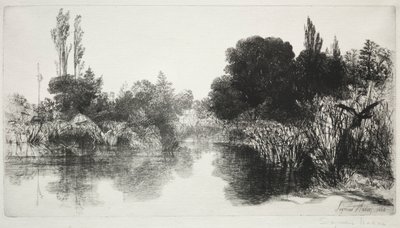Shere Mill Pond, No. 11 (La grande lastra) da Francis Seymour Haden