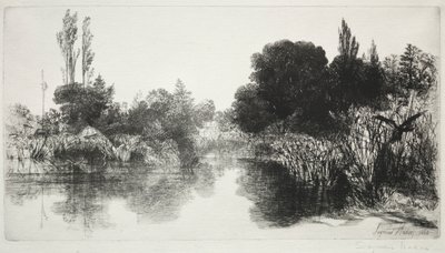 Shere Mill Pond, No. 11 La Grande Lastra da Francis Seymour Haden