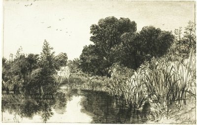 Shere Mill Pond, No. II (grande tavola) da Francis Seymour Haden