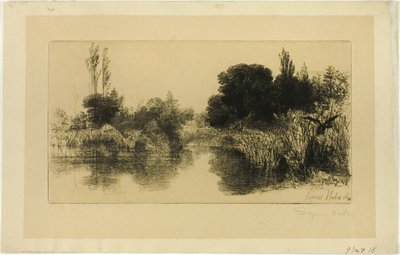 Stagno del Mulino di Shere, No. II (grande tavola) da Francis Seymour Haden