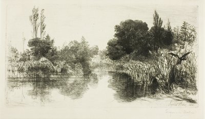 Stagno di Shere, n. II (grande tavola) da Francis Seymour Haden