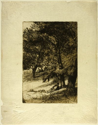 Sotto il tegmine... da Francis Seymour Haden