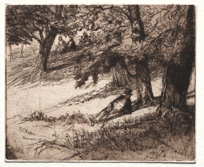 Sub Tegmine, 1859 da Francis Seymour Haden