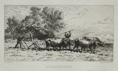 Squadra di buoi da Francis Seymour Haden