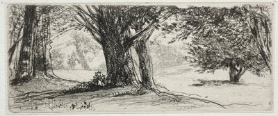 Il campo di agrifoglio da Francis Seymour Haden