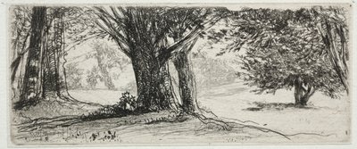 Il campo di agrifoglio da Francis Seymour Haden