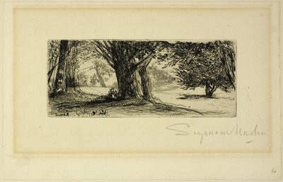 I Campi di Agrifoglio da Francis Seymour Haden