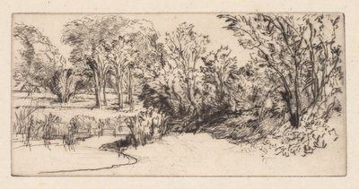 Il piccolo Longparish da Francis Seymour Haden