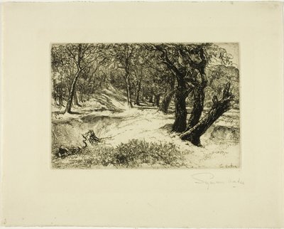 Le tre sorelle da Francis Seymour Haden