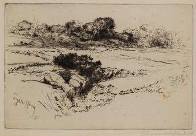 Collina del Mulino a Vento No.2 da Francis Seymour Haden
