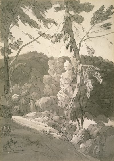Paesaggio boscoso n.1091 (Una scena a Indinowle) 1783 da Francis Towne