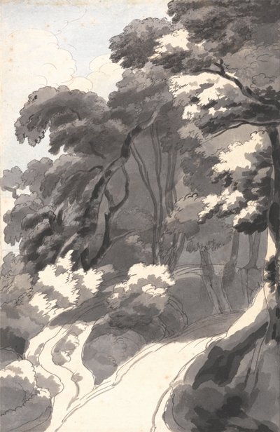 Il Castagneto, vicino a Rocca del Papa, nei pressi del Lago di Albano da Francis Towne