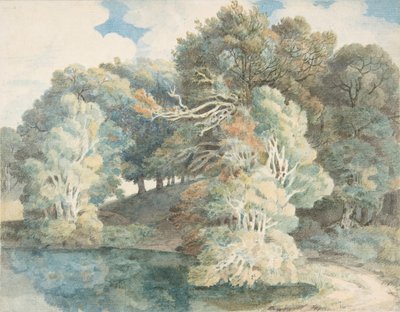 Alberi vicino al lago, Peamore Park, vicino a Exeter, Devon, 1790-1810 da Francis Towne