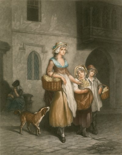 Primule da Francis Wheatley