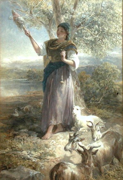 Un capraio spagnolo da Francis William Topham