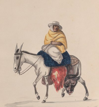 Un macellaio a cavallo di un asino, da un gruppo di disegni che raffigurano costumi peruviani da Francisco