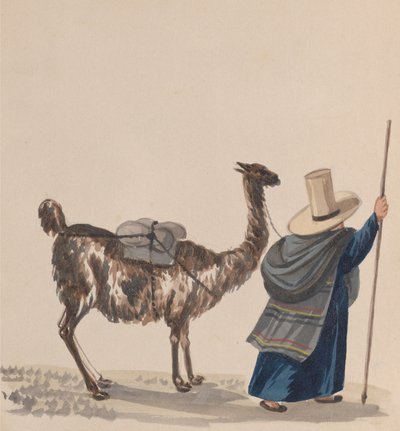 Una donna che cammina con un lama, da un gruppo di disegni che raffigurano costumi peruviani, ca. 1848 da Francisco