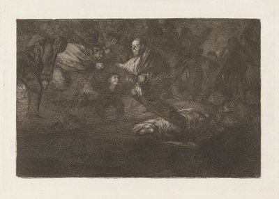 Dios los cria y ellos se juntan (Dio li crea e loro si uniscono), dalla serie Los disparates (Los proverbios) da Francisco de Goya