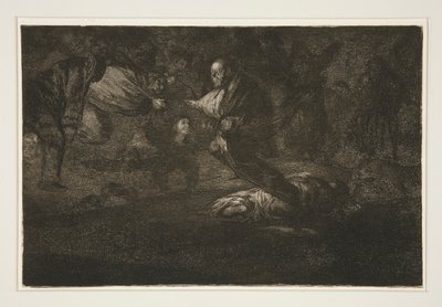 Dio li crea e loro si uniscono, tav. 18 dalla serie I proverbi da Francisco de Goya