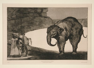 Disparate de bestia (Follia animale), tavola non numerata dalla serie Los proverbios da Francisco de Goya