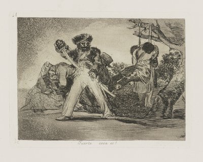Fuerte cosa es! da Francisco de Goya