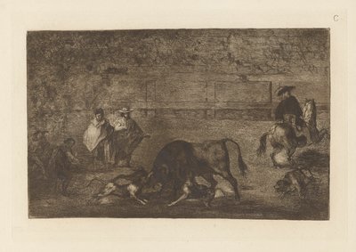 Les chiens laches sur le taureau (I cani liberati sul toro), Tavola C da La tauromaquia (terza edizione) da Francisco de Goya