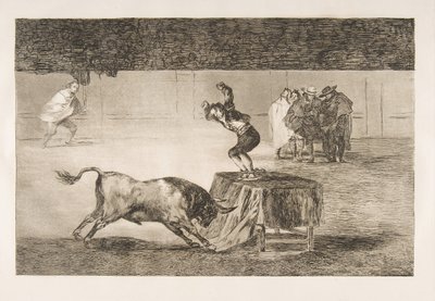 Tavola 19 della Tauromachia: Un