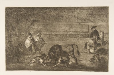 Tavola C: I cani liberati sul toro, ca. 1816 da Francisco de Goya
