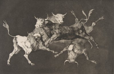 Tavola D dai Disparates: Folli o piccoli tori, ca. 1816-23 pubblicato prima del 1877 da Francisco de Goya