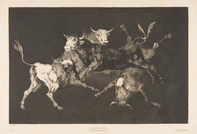 Tavola D dai Disparates: Folli o Piccoli Tori - follia da Francisco de Goya