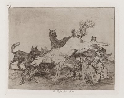 Se defiende bien, Tavola 78 da Los desastres de la guerra da Francisco de Goya
