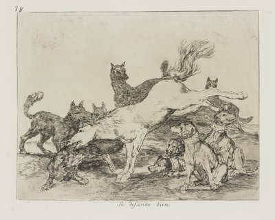 Si difende bene., tav. 78 dalla serie Los desastres de la guerra da Francisco de Goya