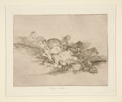 Succede sempre, tav. 8 da I disastri della guerra da Francisco de Goya