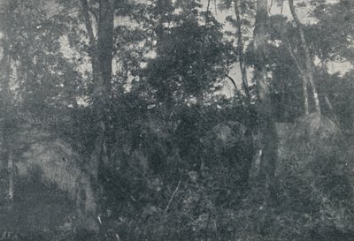 Capanne di indios, 1895 da Francisco Henszler