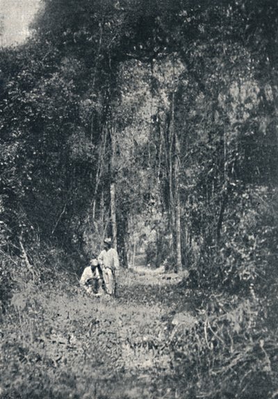 Estrada de Rodagem do Alto Parana da Francisco Henszler