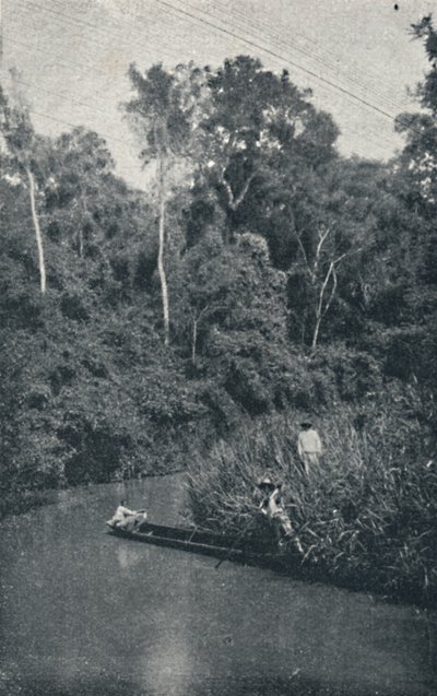 Rio de S. Anastacio, 1895 da Francisco Henszler