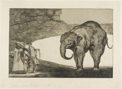 Follia Animale, dai Disparates da Francisco Jose de Goya y Lucientes