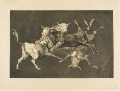 La follia dello sciocco, da Disparates da Francisco Jose de Goya y Lucientes