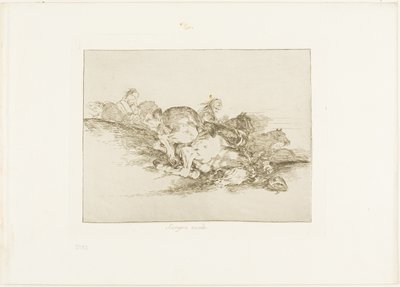 Succede Sempre, tavola otto da I Disastri della Guerra da Francisco Jose de Goya y Lucientes
