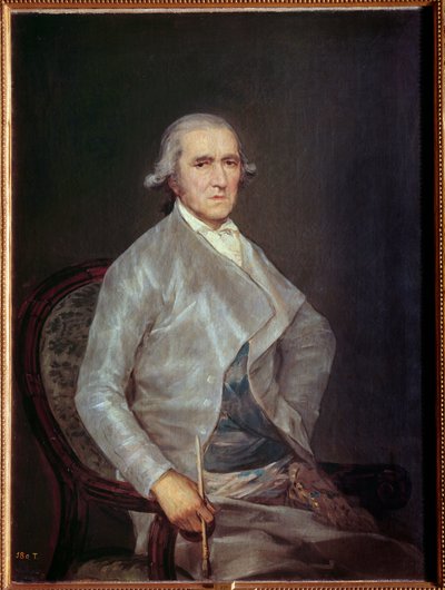 Ritratto di Francisco Bayeu. Francisco Bayeu (1734-1795), pittore e cognato dell