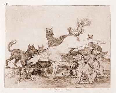 I disastri della guerra: Si difende bene da Francisco de Goya