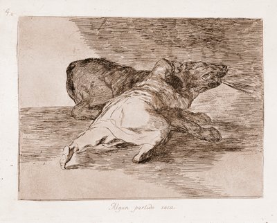 I disastri della guerra: Ne raccoglie alcuni benefici (incisione) da Francisco de Goya